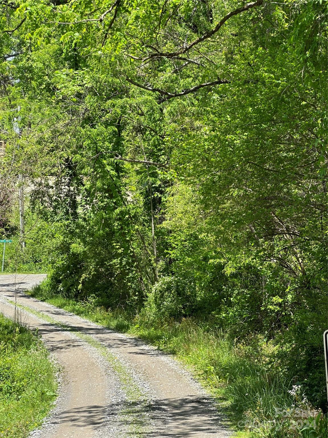 a view of a yard and trees