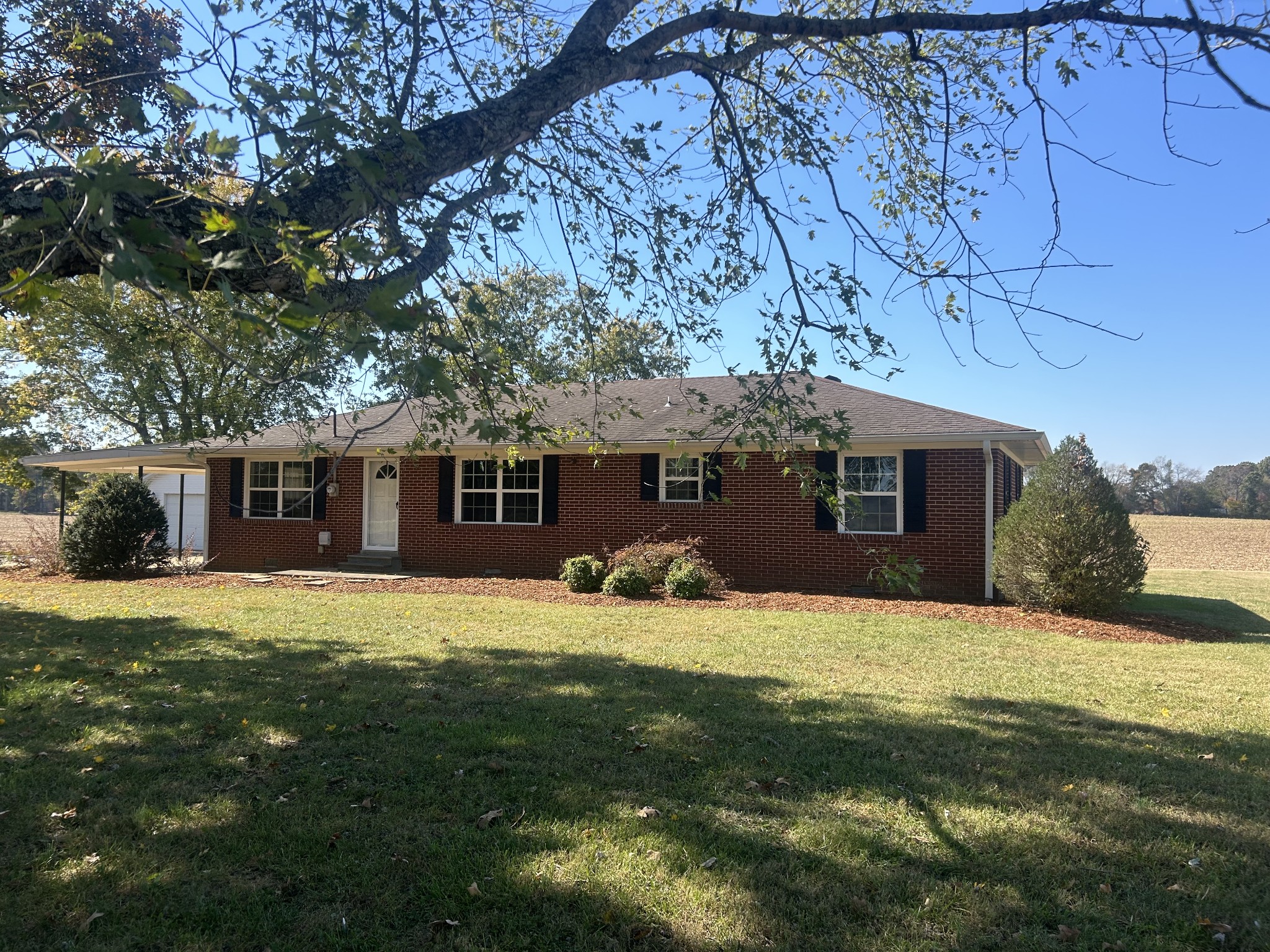 a view of a yard in front of a house with a large tree