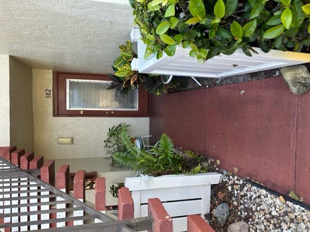 a potted plant sitting in front of a house