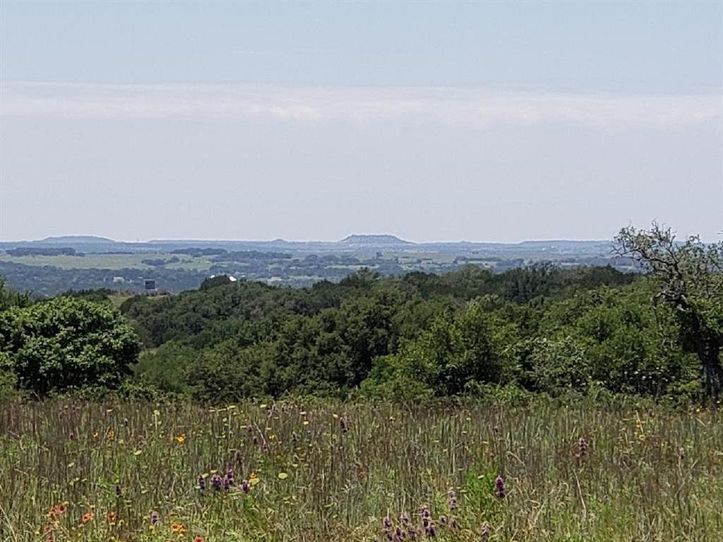 a view of a field of grass and trees