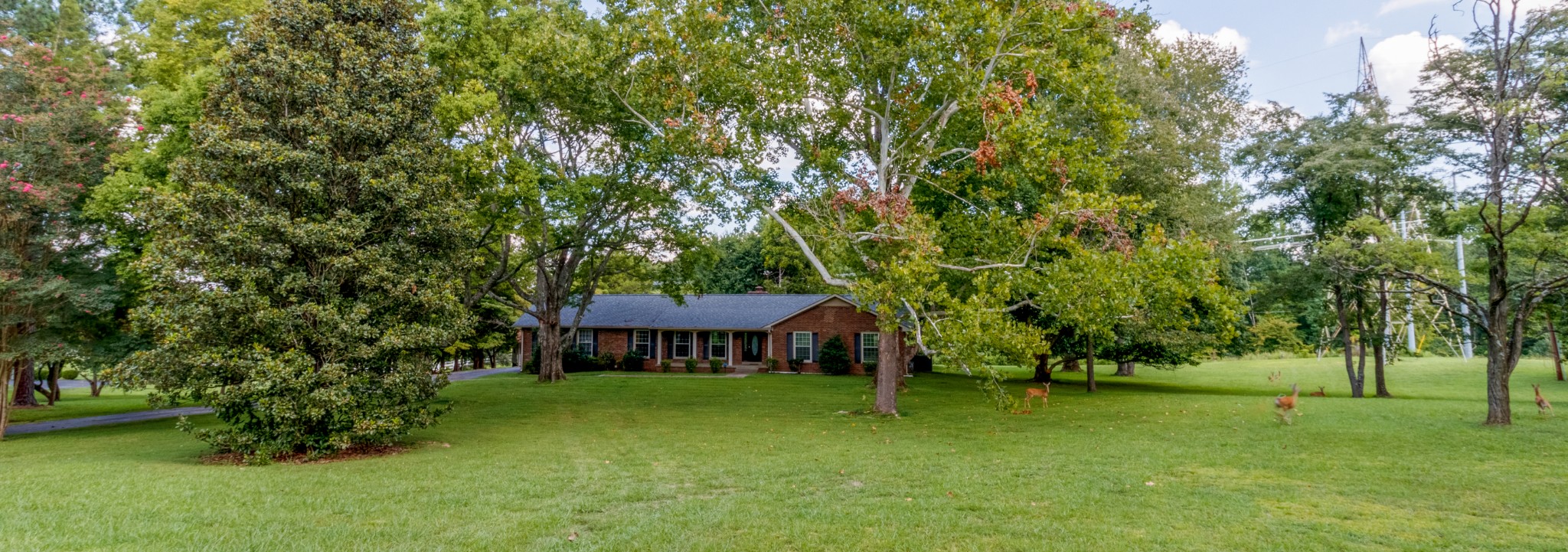 a view of a house with a backyard