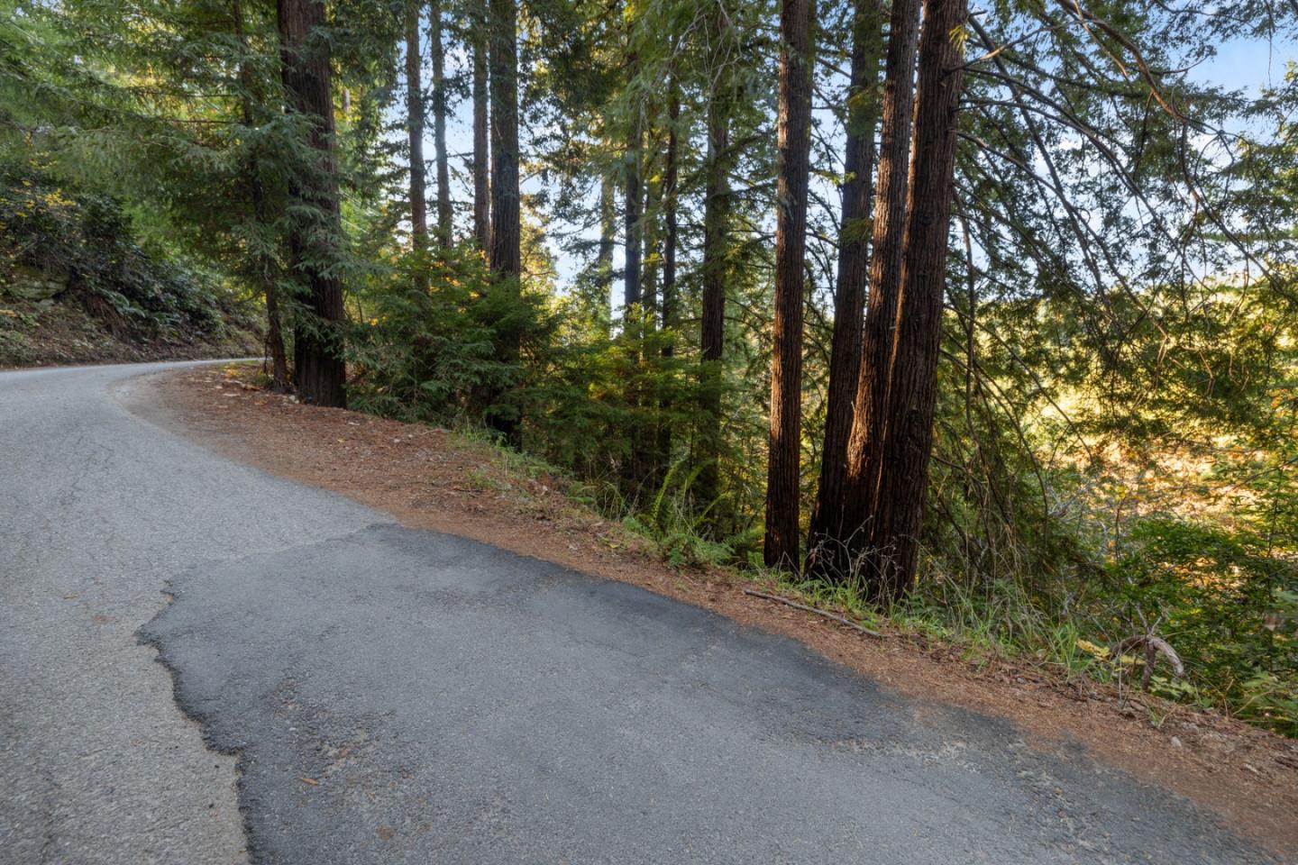 a view of a road with trees in front of it