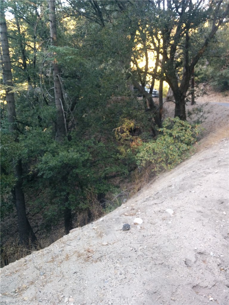 a view of a road with trees in the background