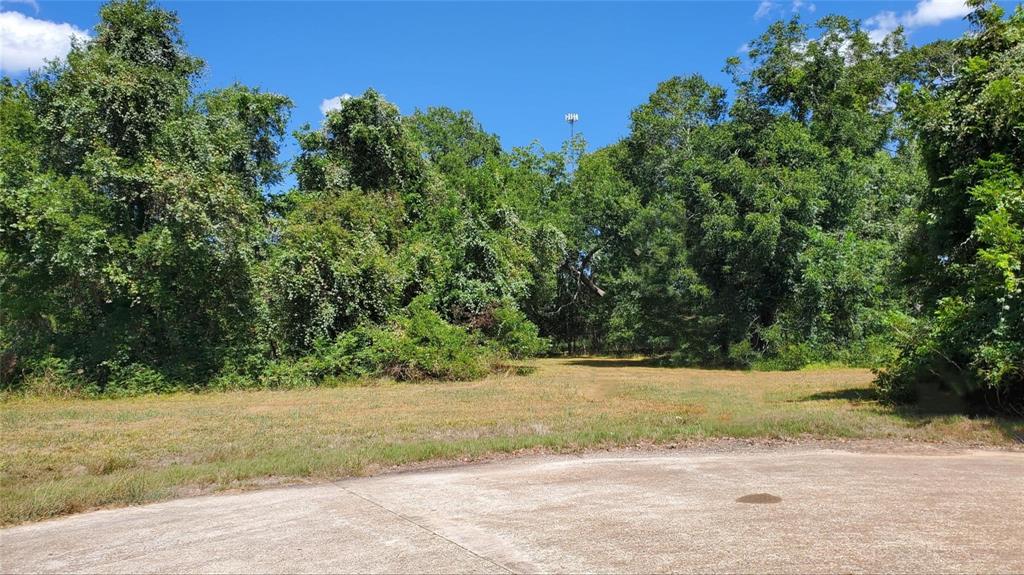 a view of backyard with green space