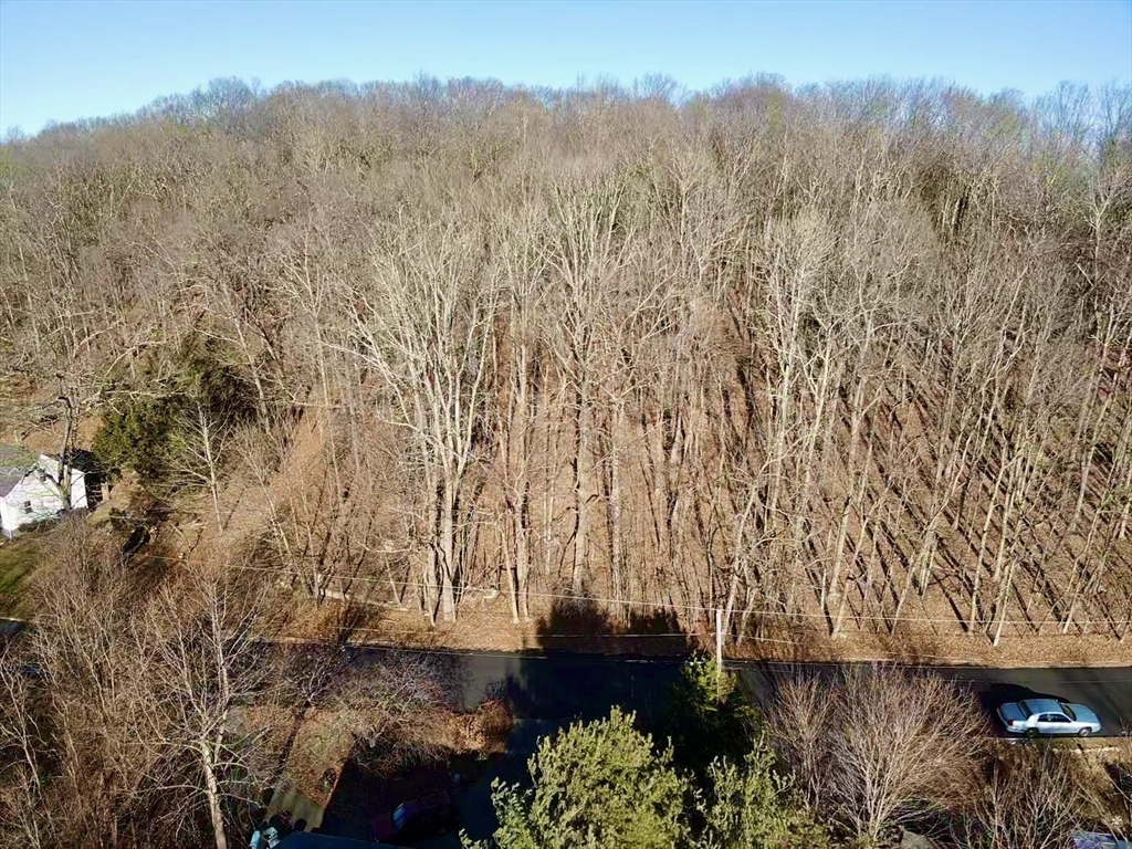 a view of backyard with green space