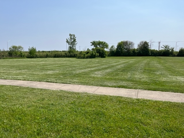 a view of a field with an ocean view