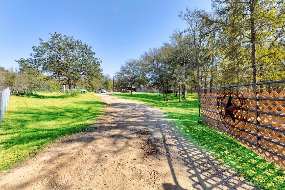 a view of a park with large trees