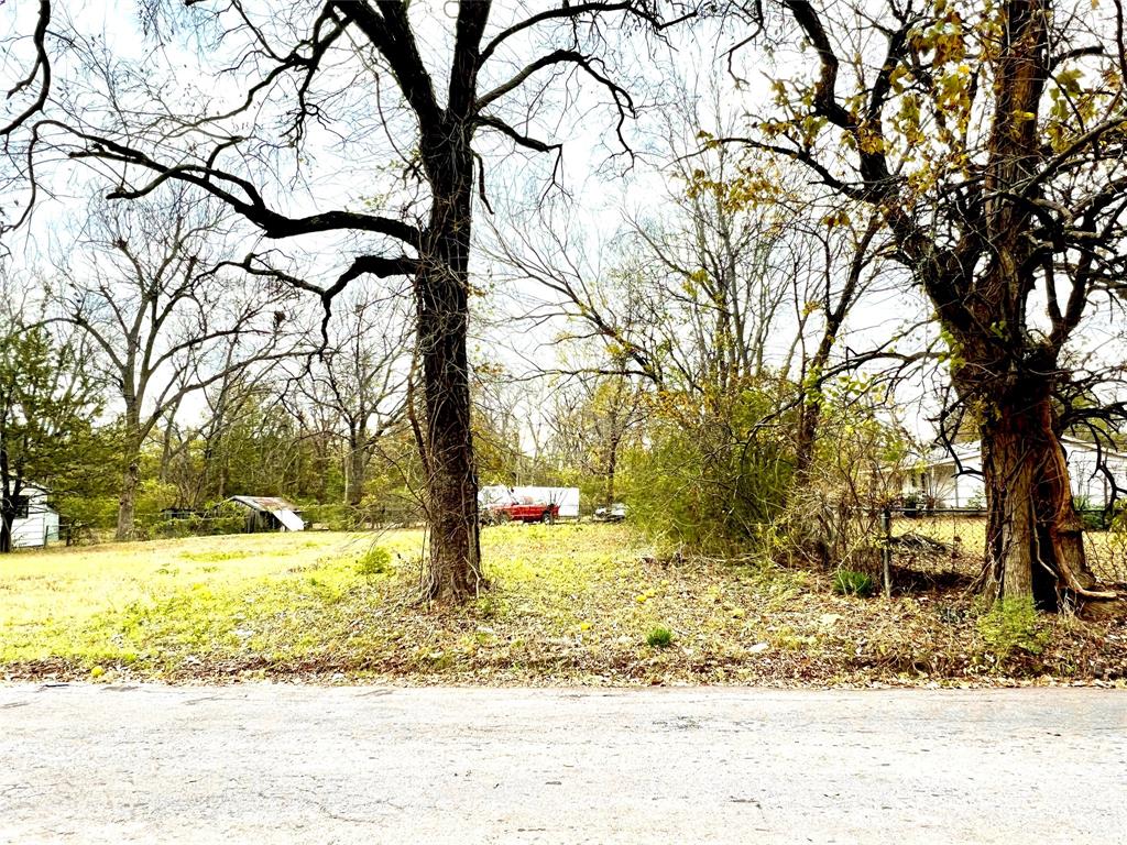 a view of a yard with a tree