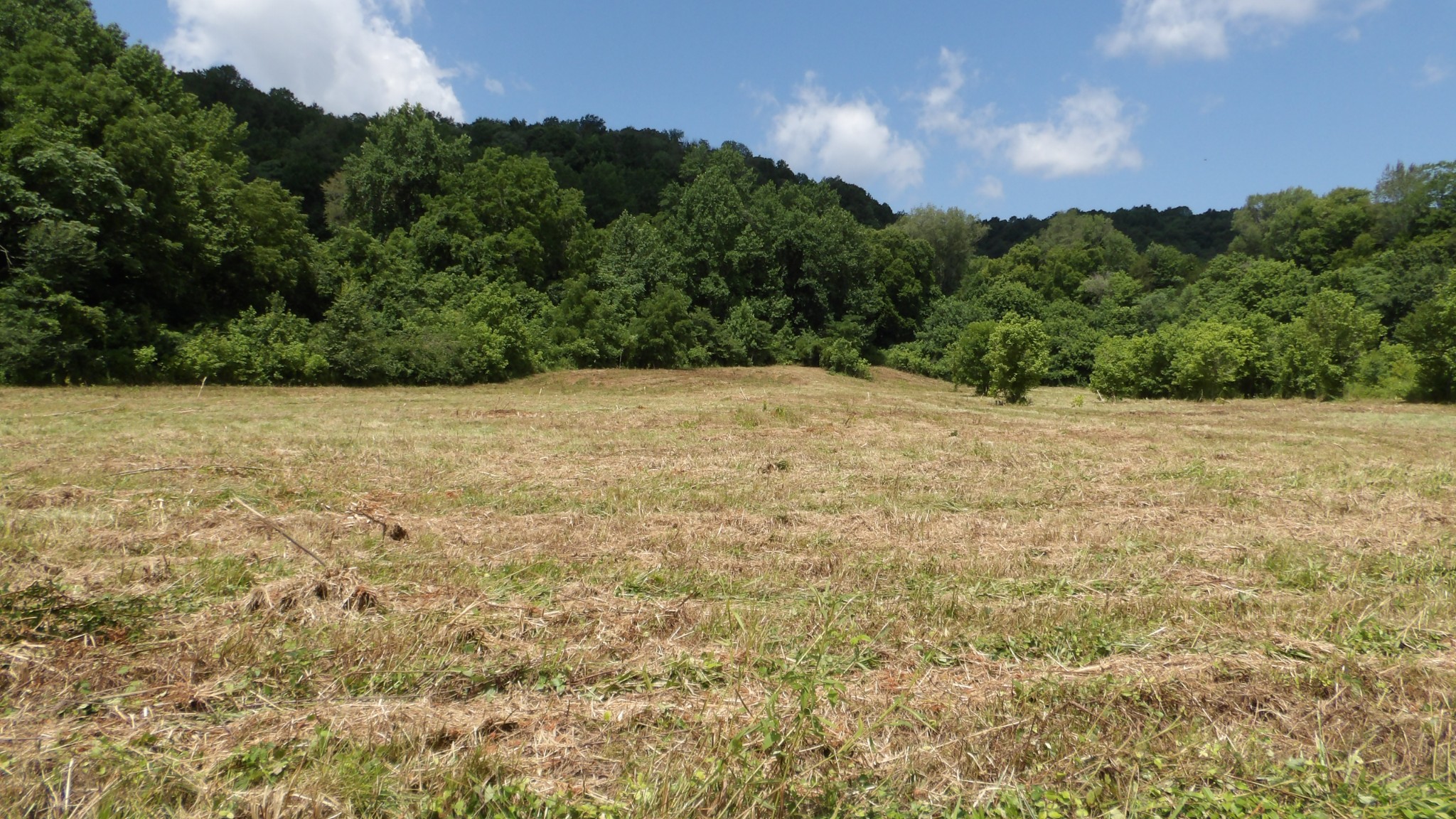 a view of empty field with mountain