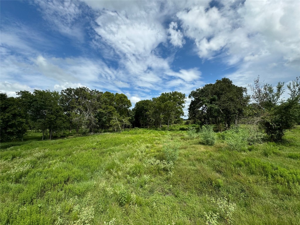 Tract 2 of Walhalla Ranch