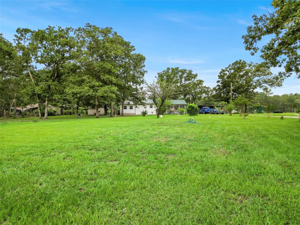 a view of a grassy field with trees