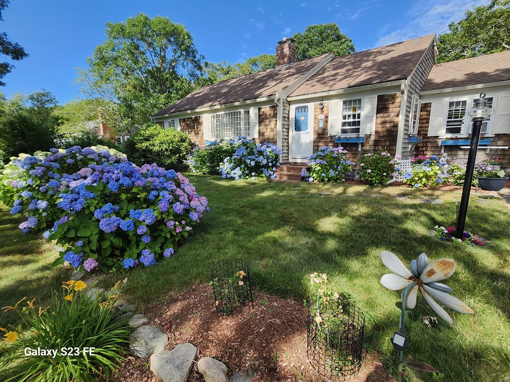 a front view of a house with a yard and fountain