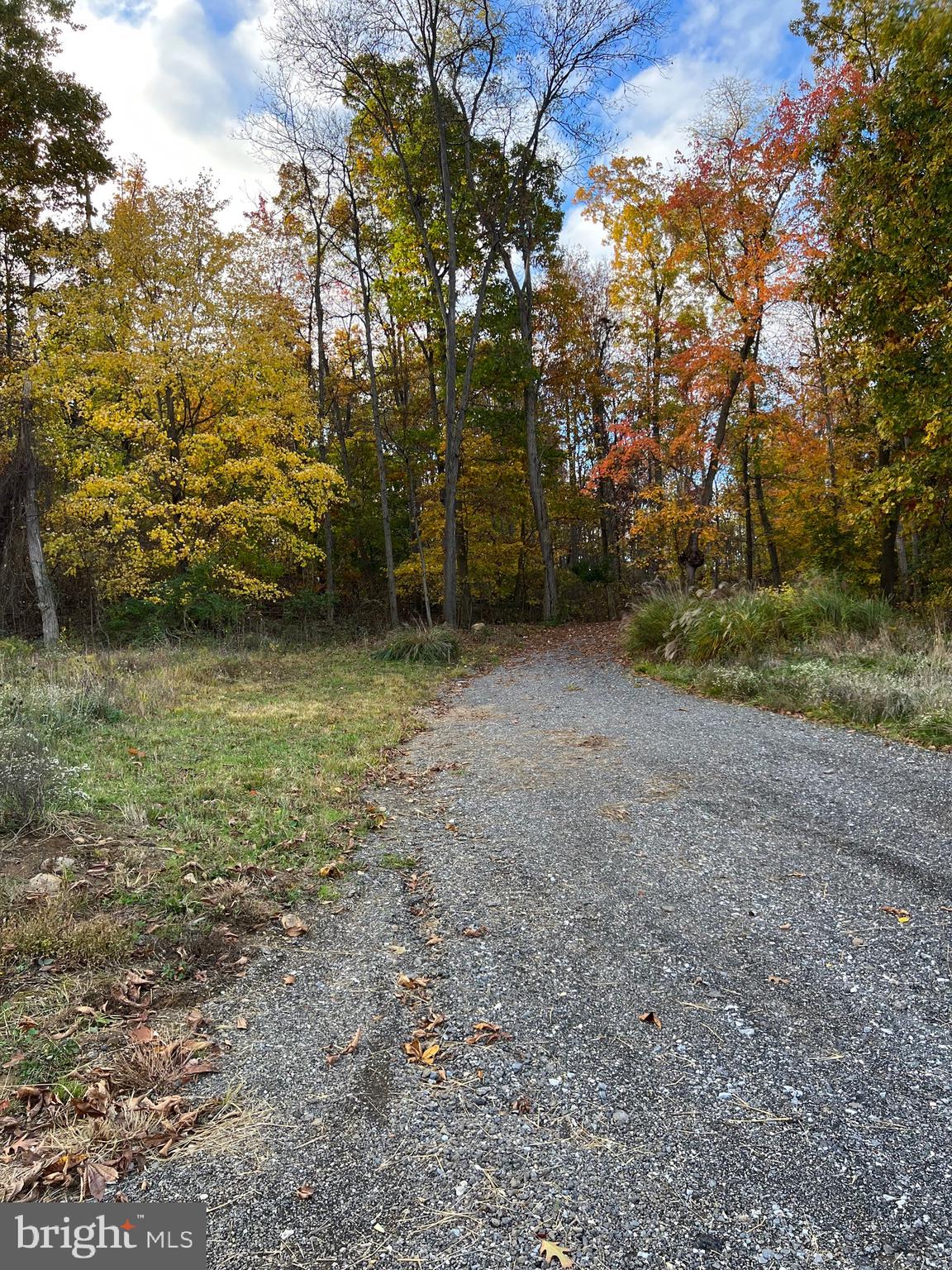 a view of a field with lots of bushes