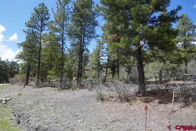 $36,500 | 144 Granada Drive | Pagosa Lakes