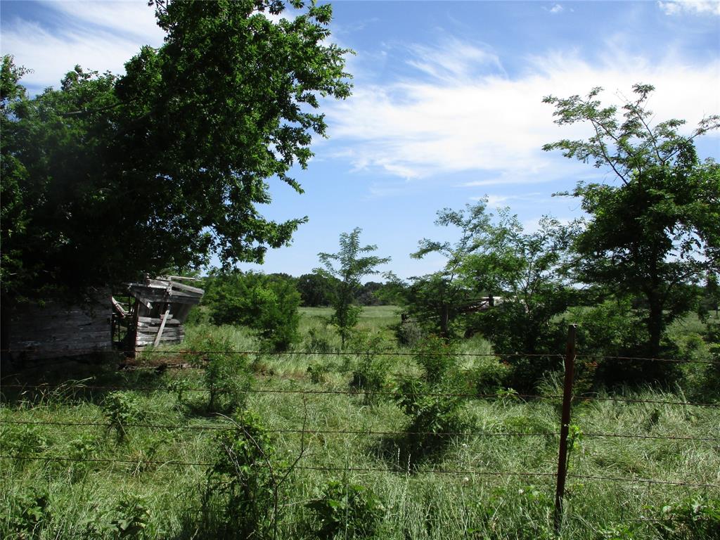 a view of a garden