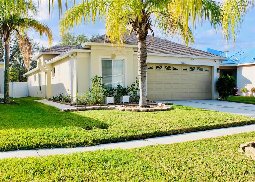 a front view of house with yard and green space