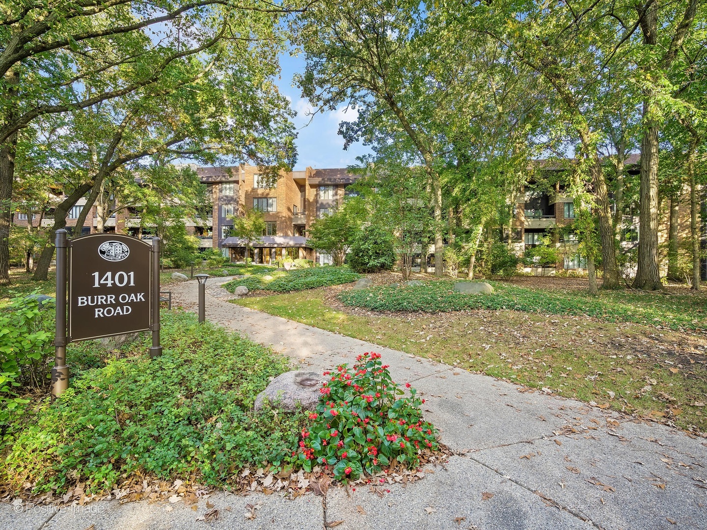 a view of a park that has large trees