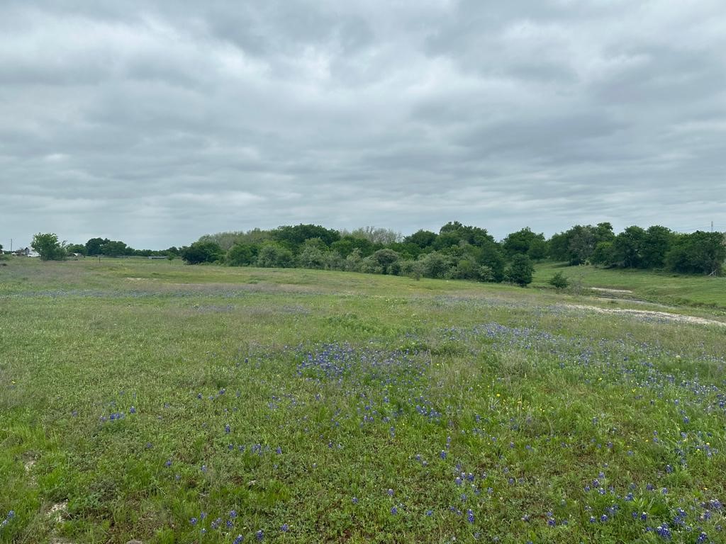 a view of a field with an ocean