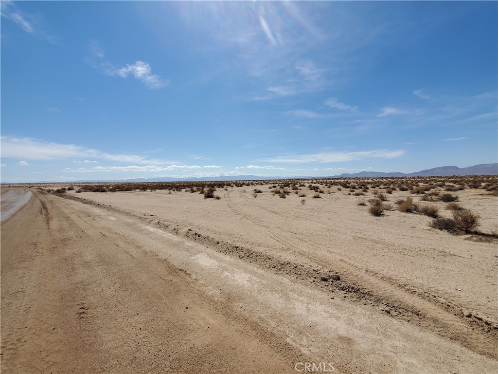 a view of a dry yard