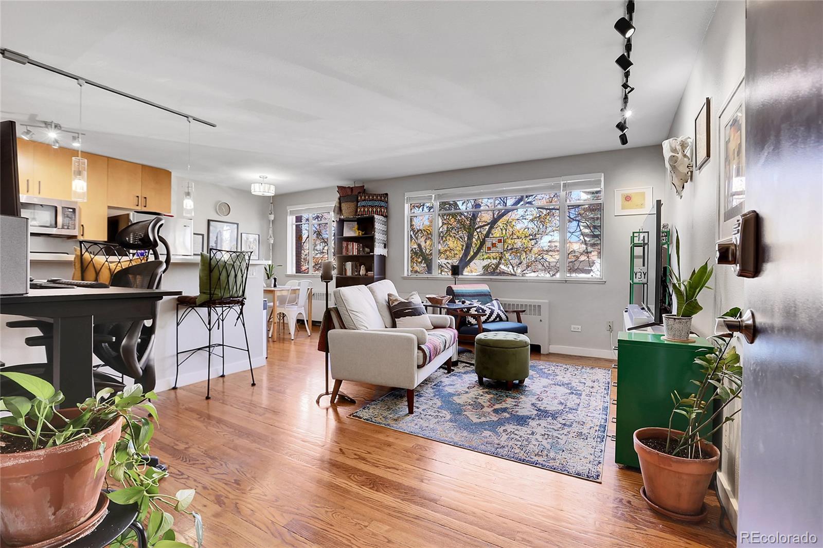 a living room with furniture and a potted plant