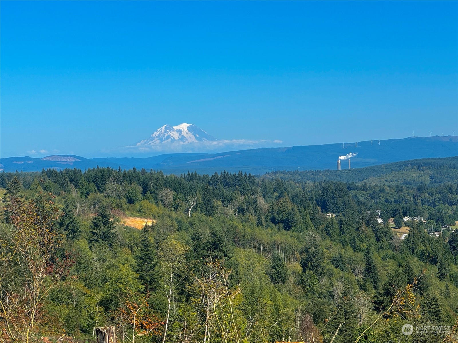 a view of a city and green space