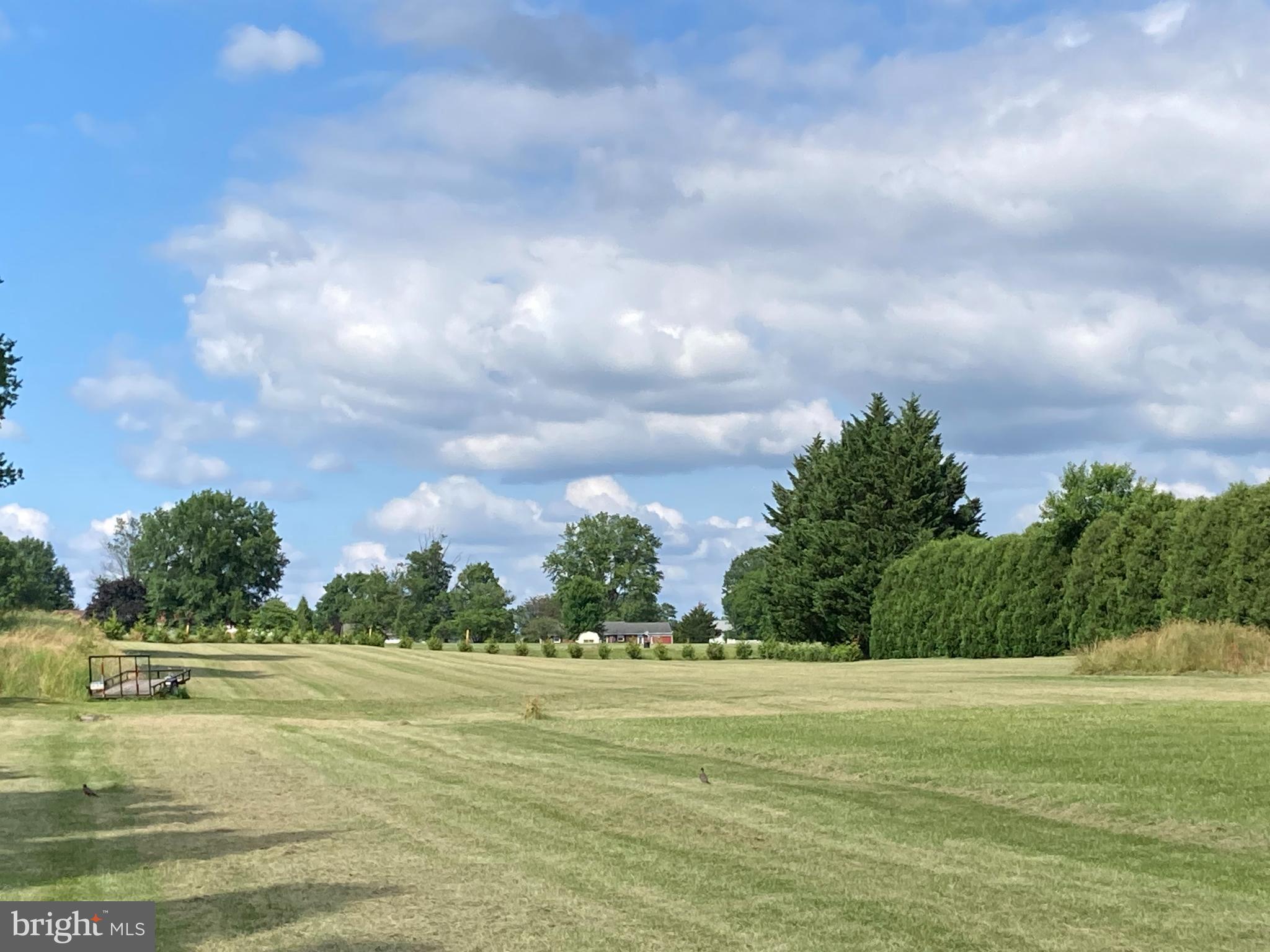 a view of a big yard of grass and an ocean