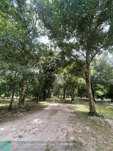 a view of outdoor space with lots of trees