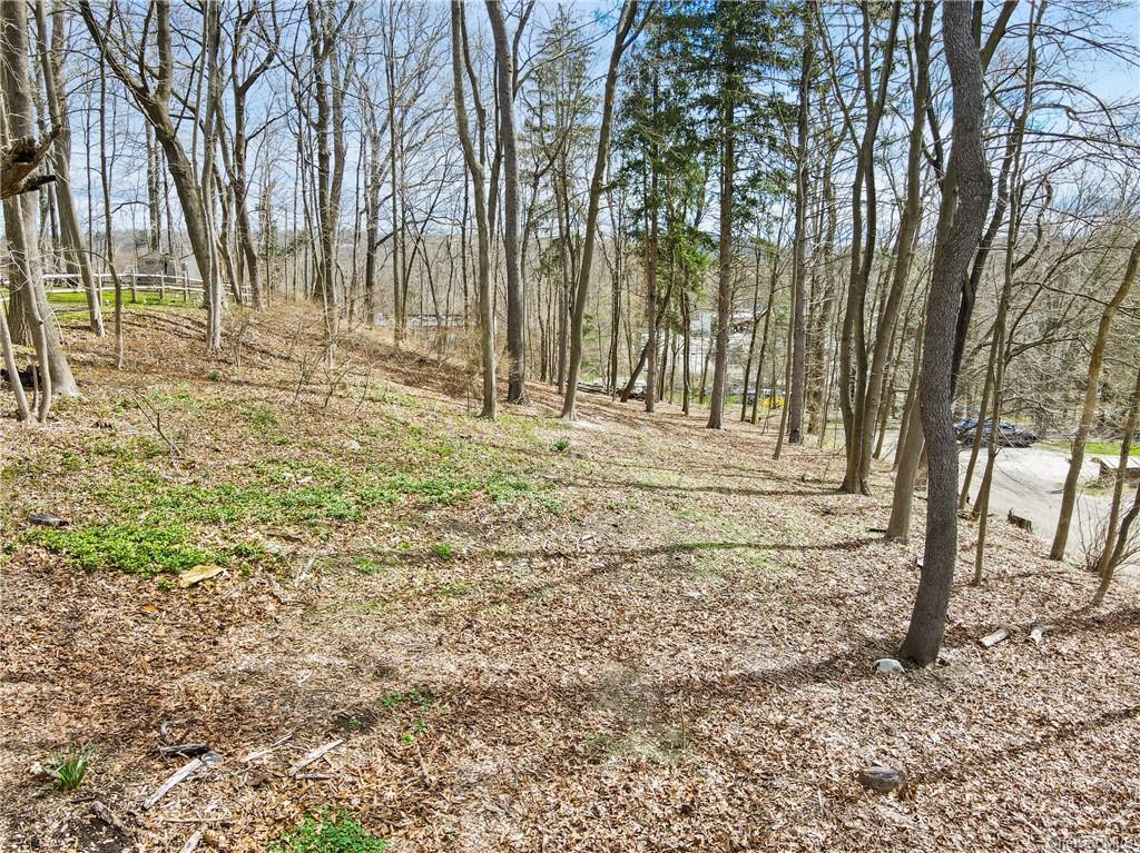 a view of a backyard of the house