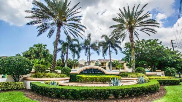 a view of a swimming pool with a garden and palm trees