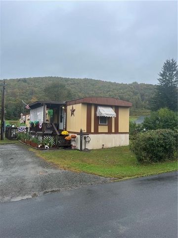 $79,900 | 339 Knox Avenue | Downsville