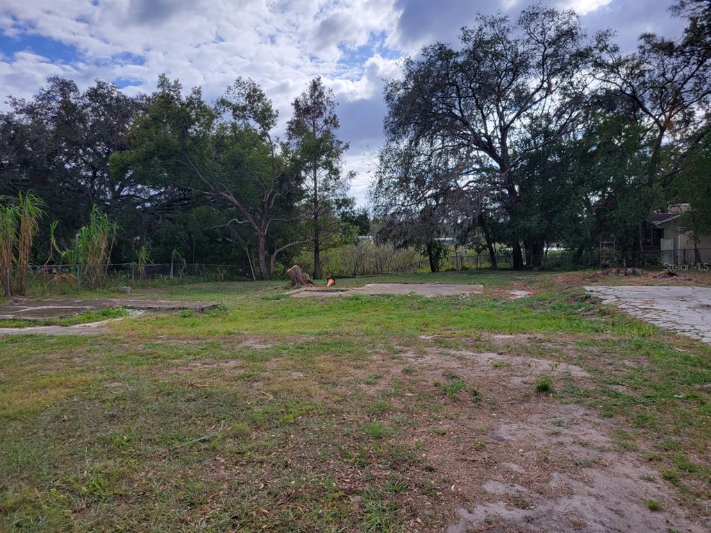 a view of a tree in a park