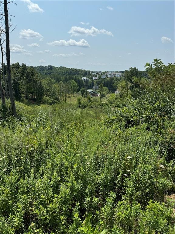 a view of a city and lush green forest