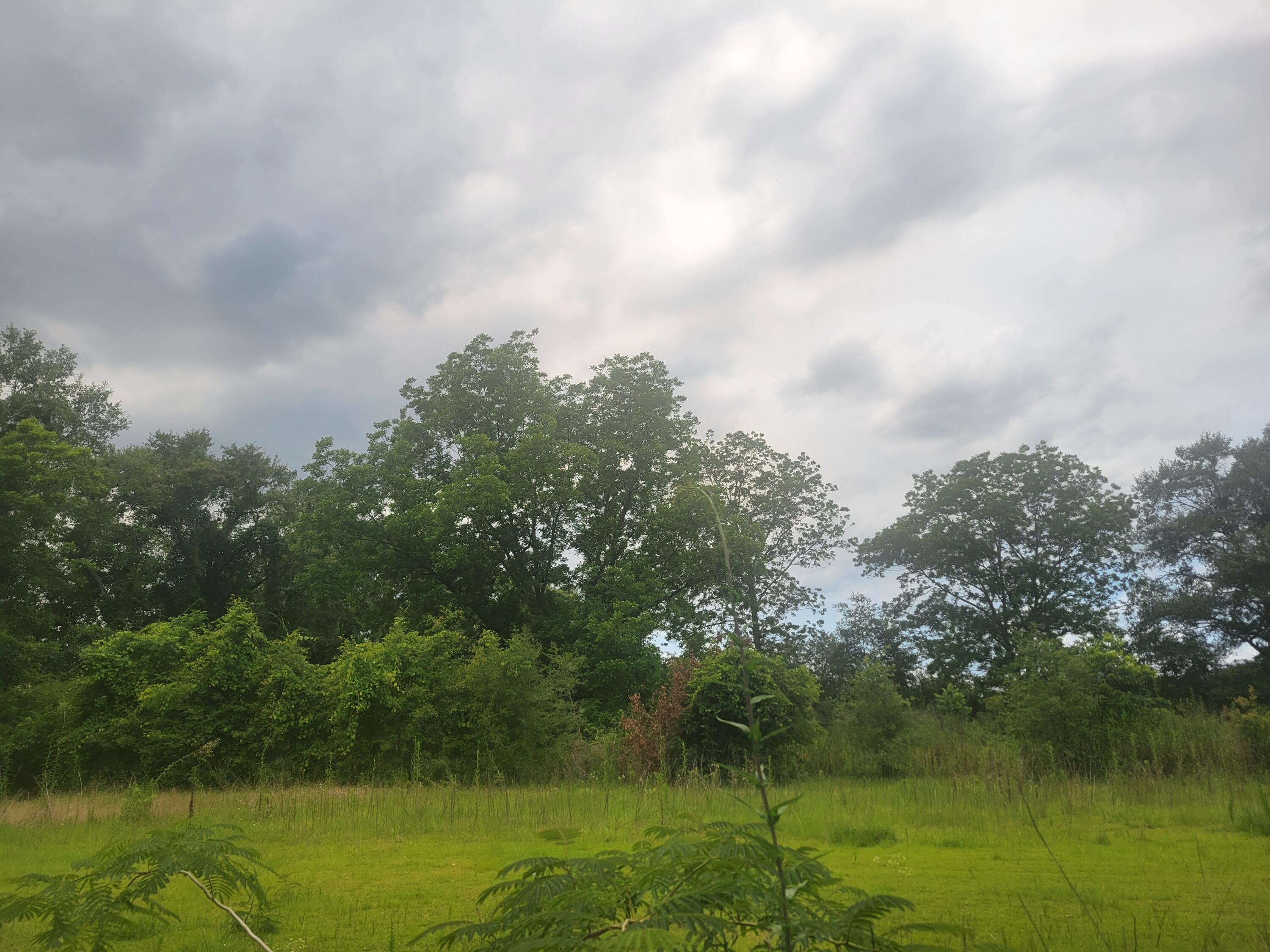 a view of lake with green space