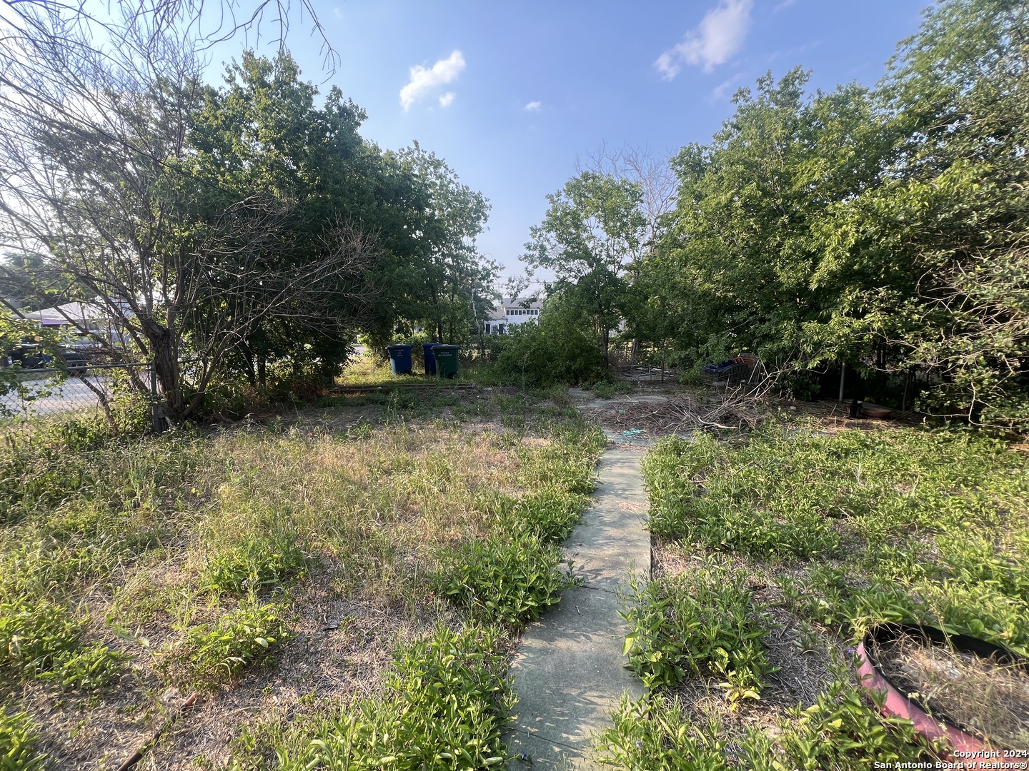 a view of a yard with plants and a large tree