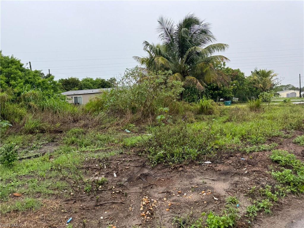 a view of a field of grass and trees