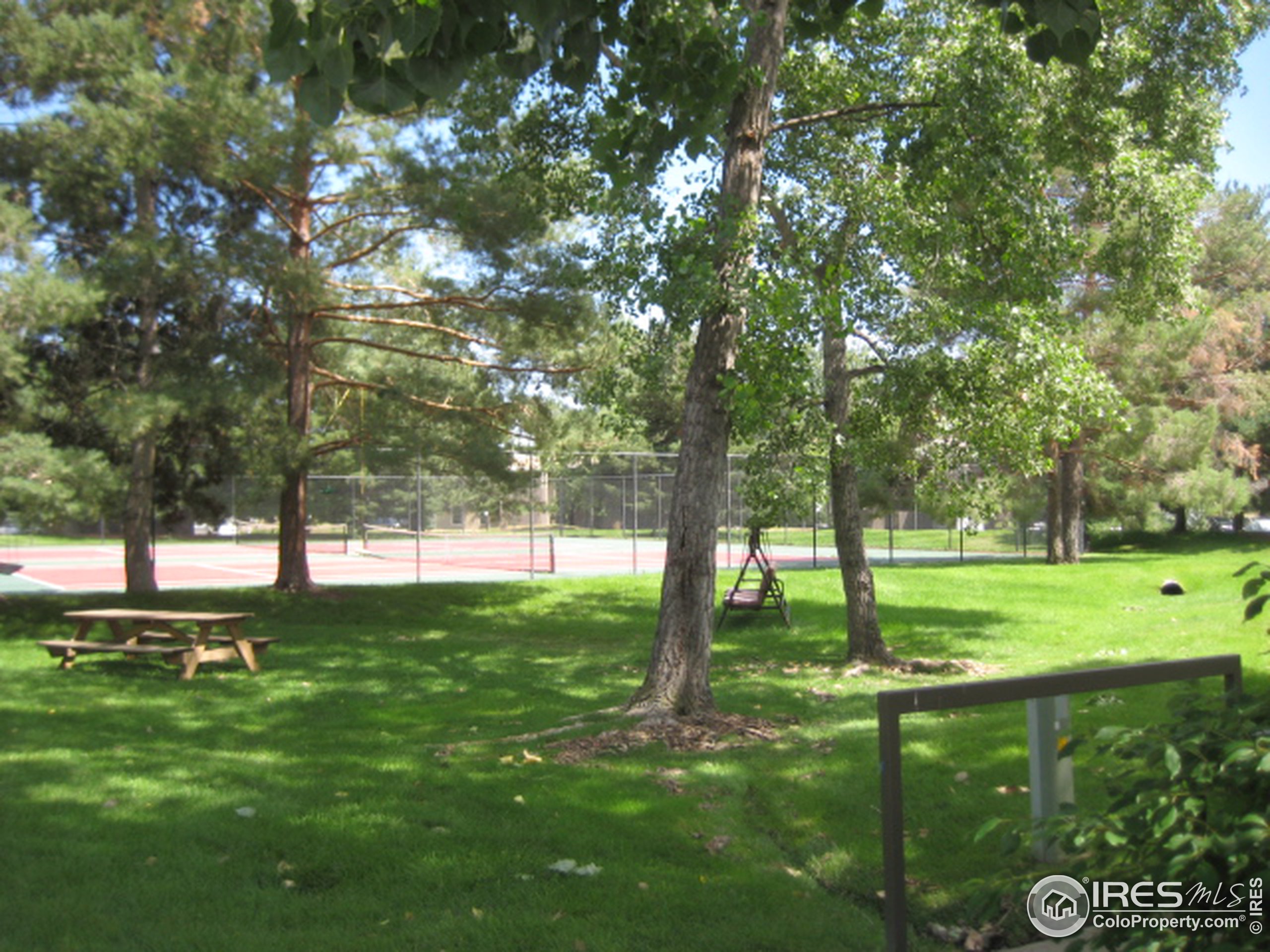 a view of a backyard with large trees