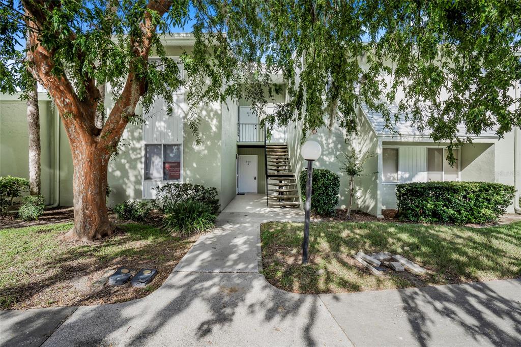 front view of a house with a tree