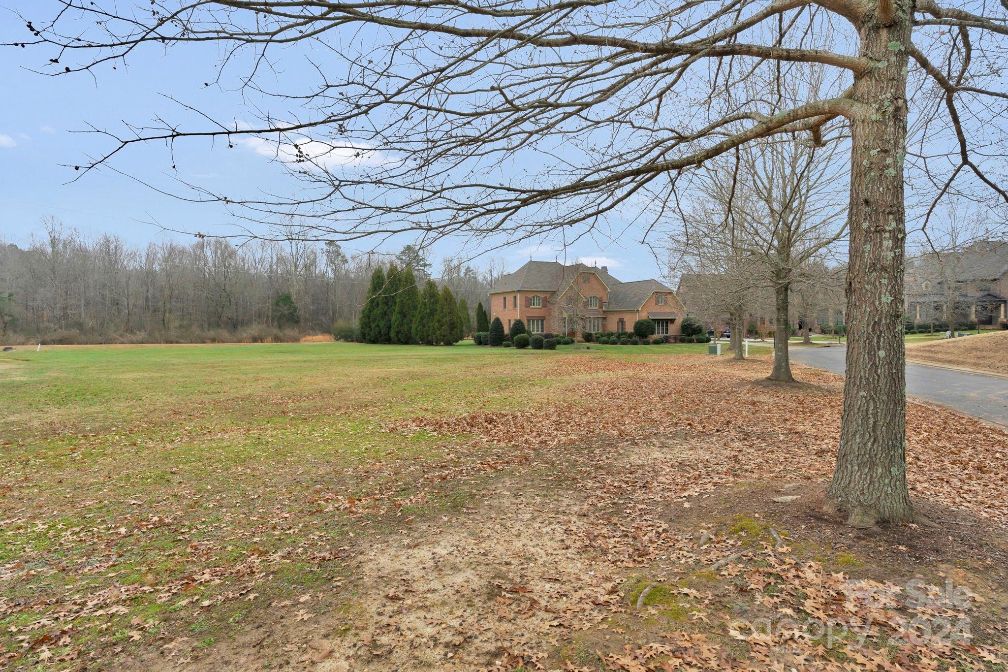 a view of a yard with a tree