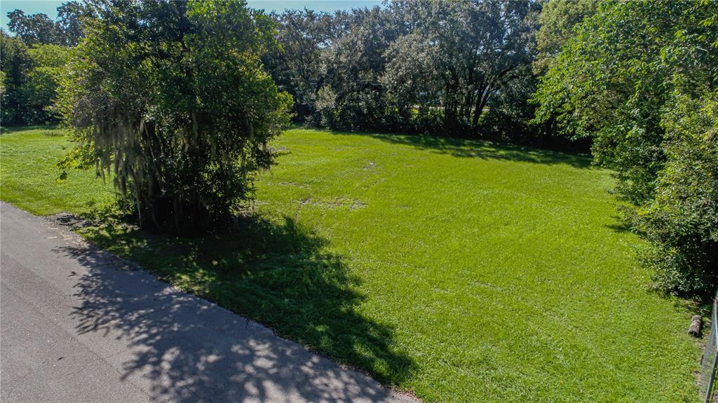 a view of a trees with a yard