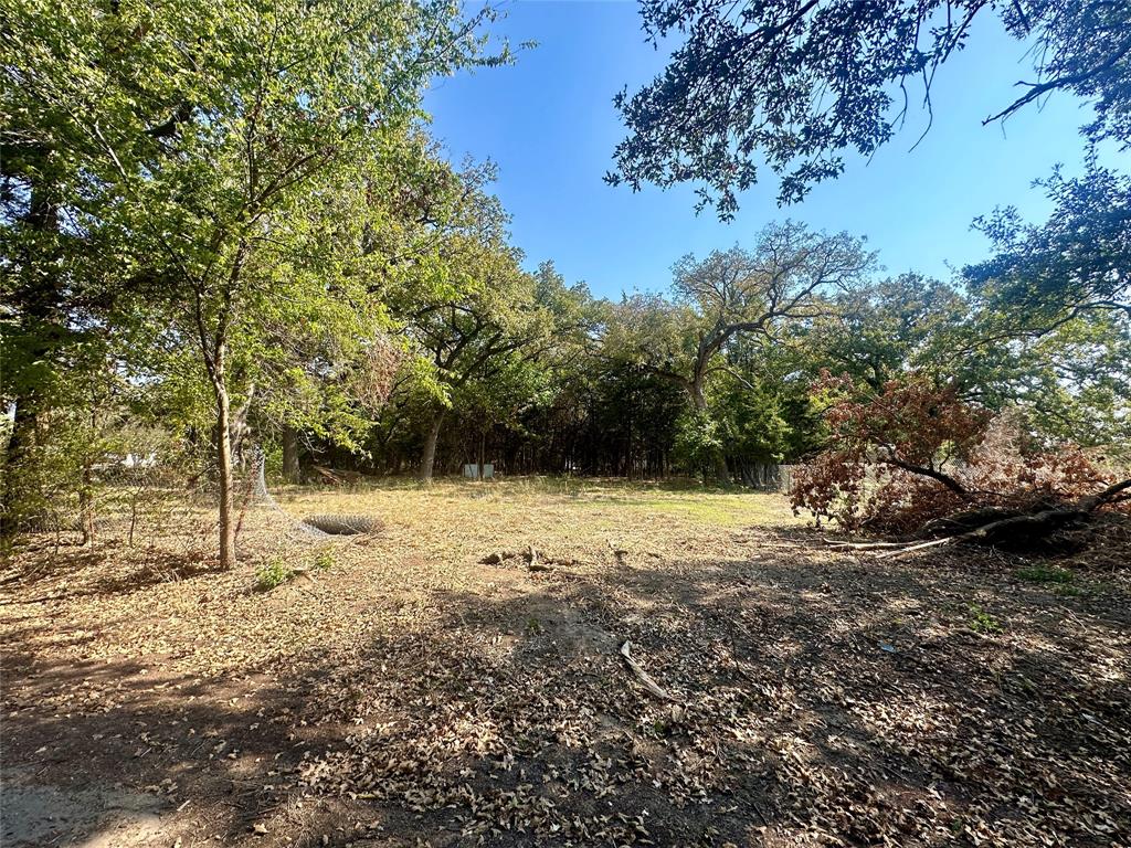 a view of a yard with trees