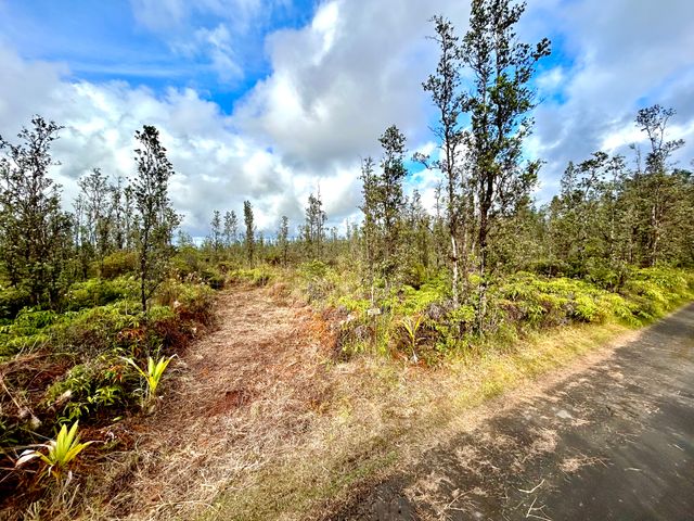 $57,500 | 2833 Road 2 (ao) Kurtistown Hi 96760 | Hawaiian Acres