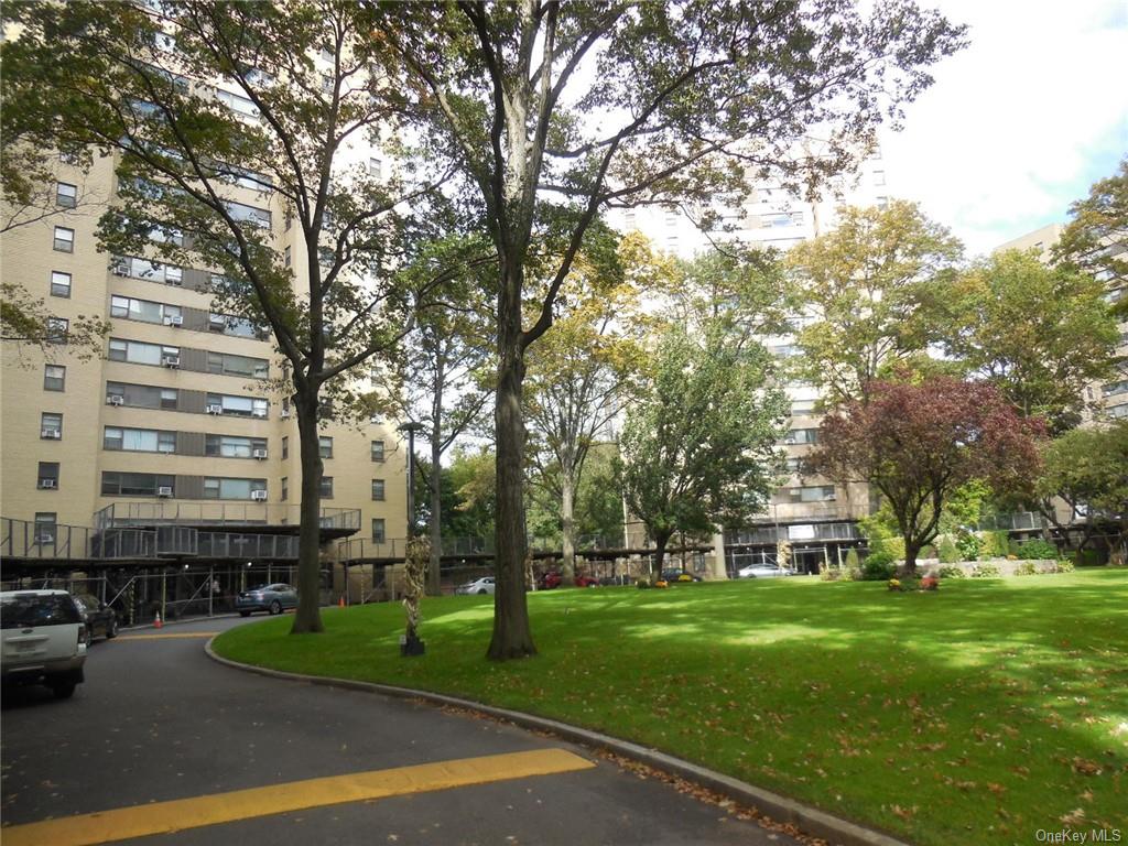 a view of a park with large trees