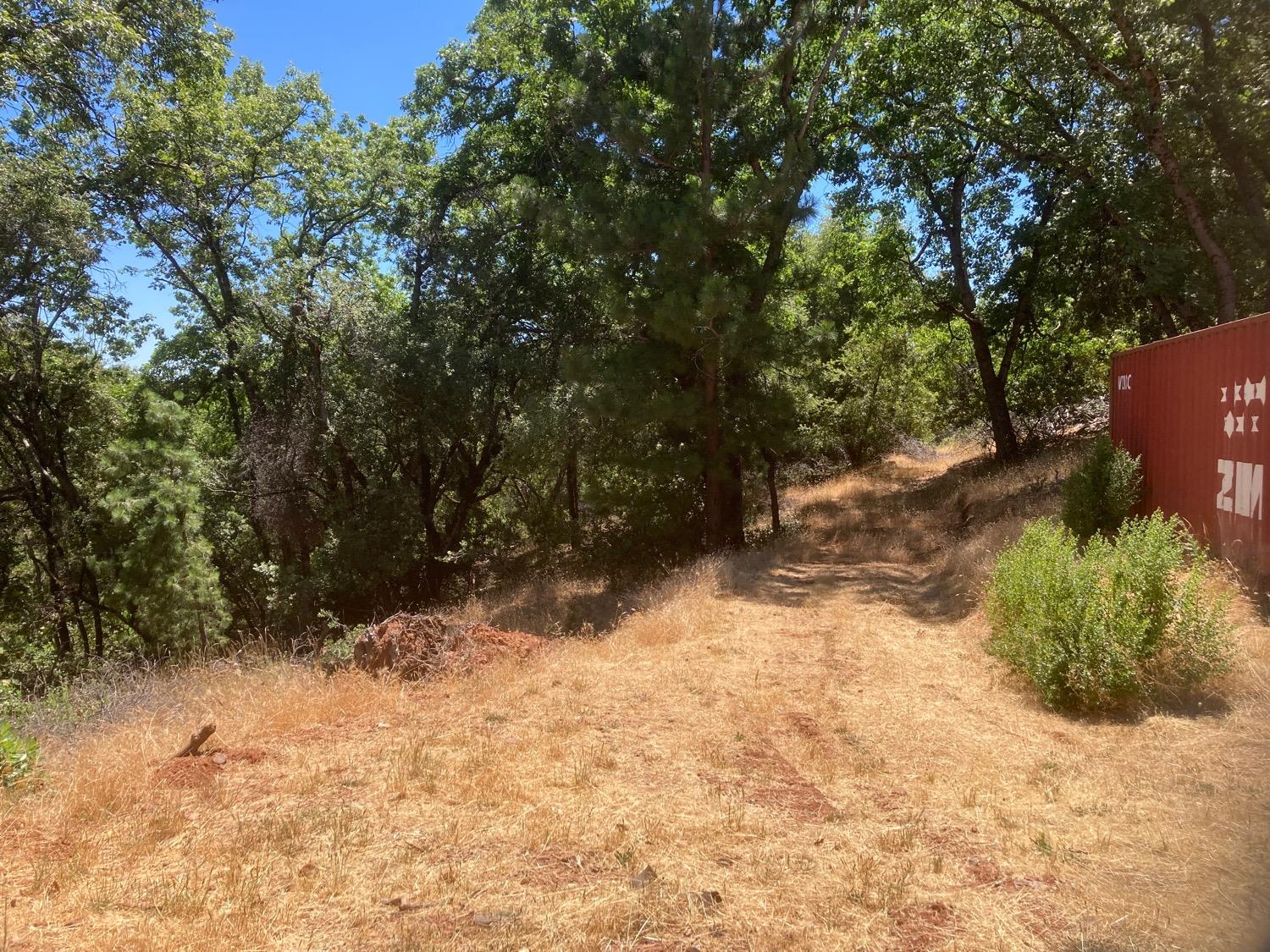 a view of a yard with a tree