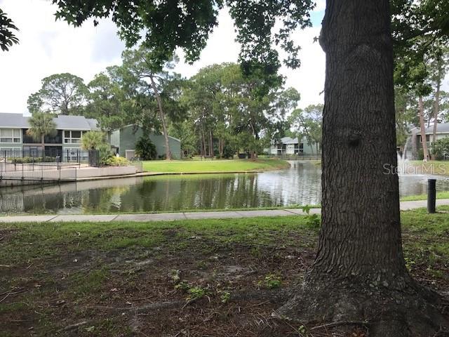 a backyard of a house with lots of green space and lake view