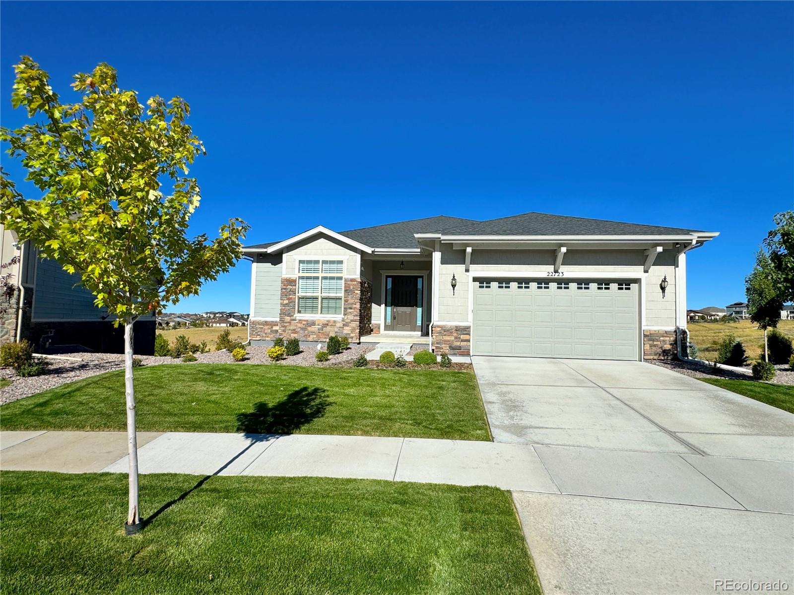 a view of a house with backyard and a tree