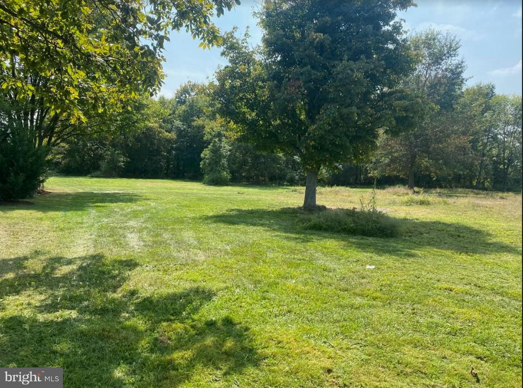 a view of a field with a tree