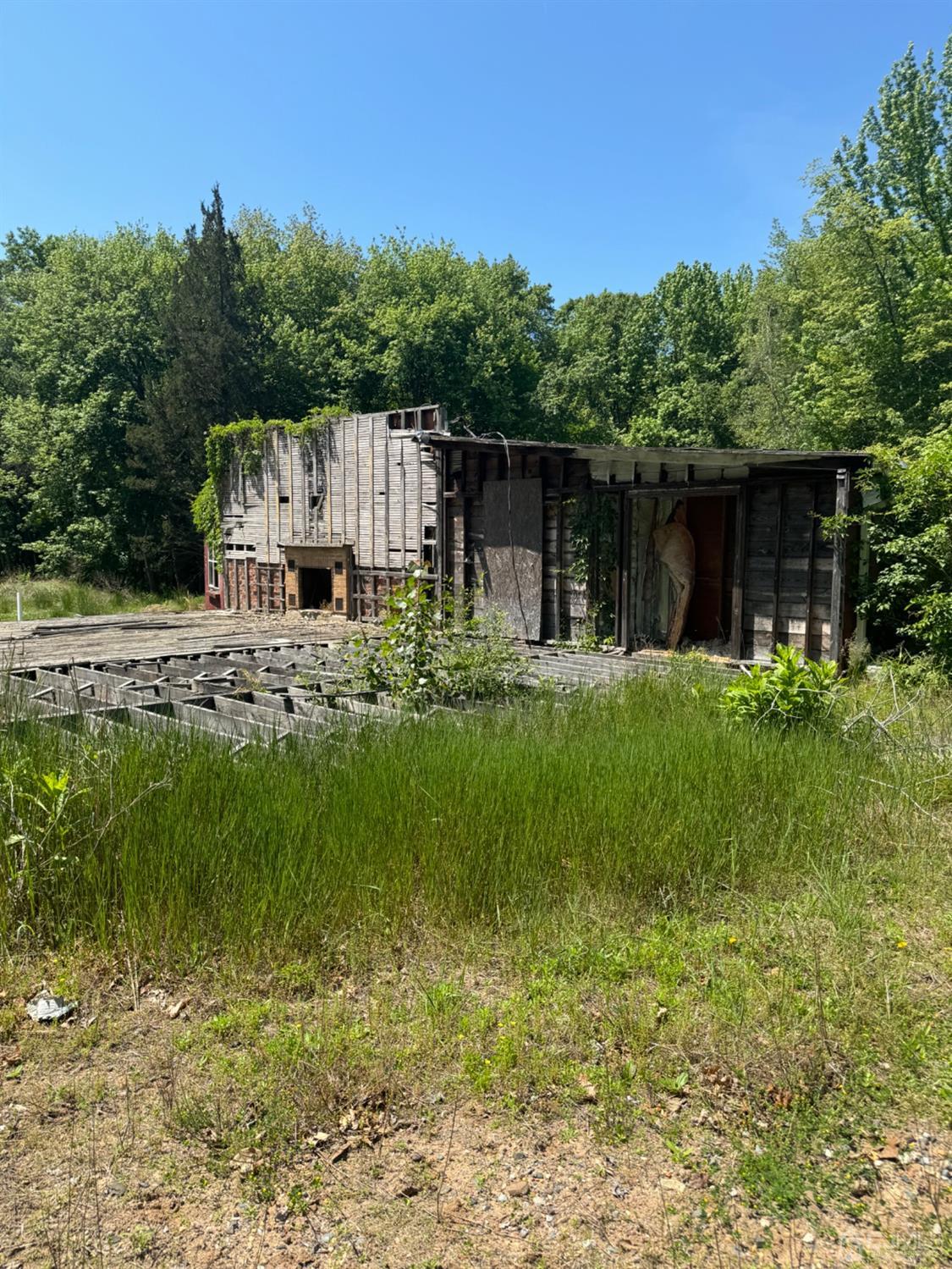 a view of backyard with green space