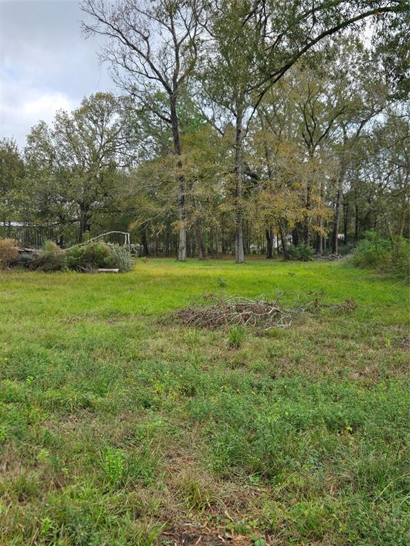 a view of a grassy field with trees