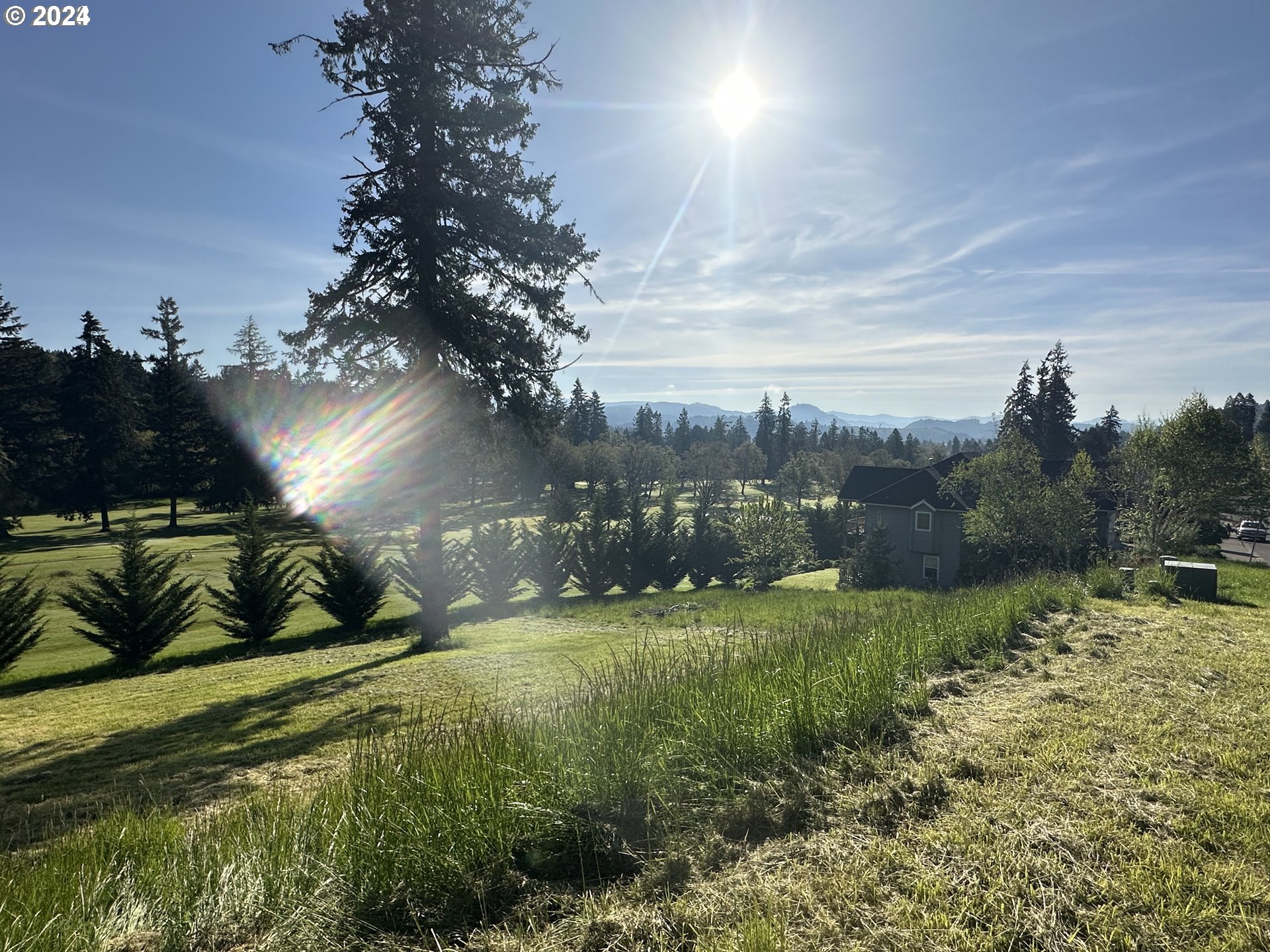 a view of a golf course with a lake