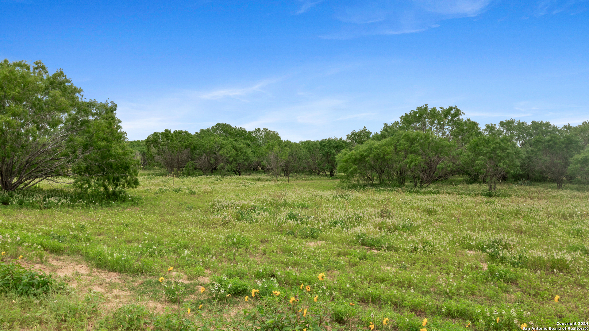 a view of a green field with trees in the background